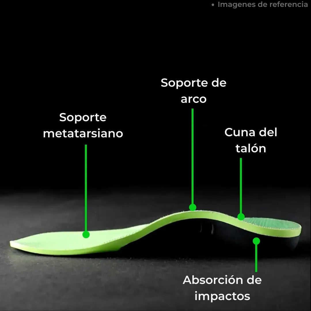 PLANTILLAS XSTANCE
